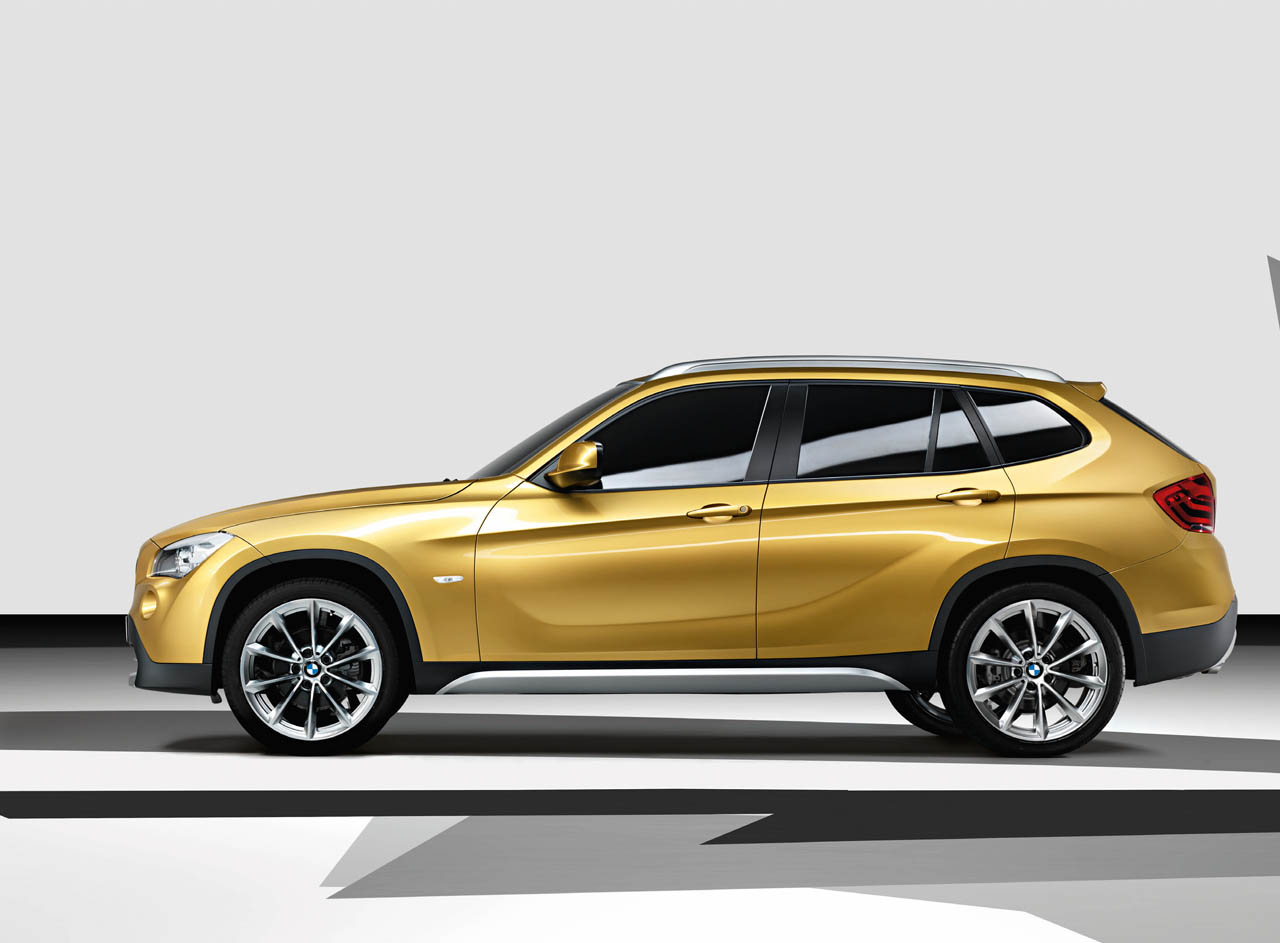 BMW X1: 8 фото