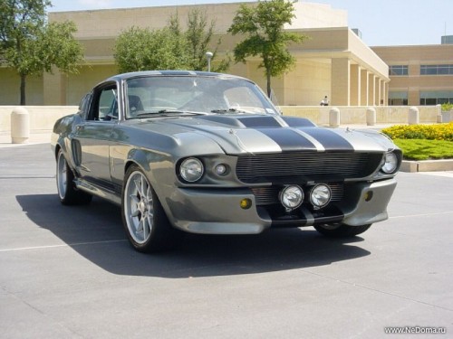 Ford Shelby GT 500: 1 фото