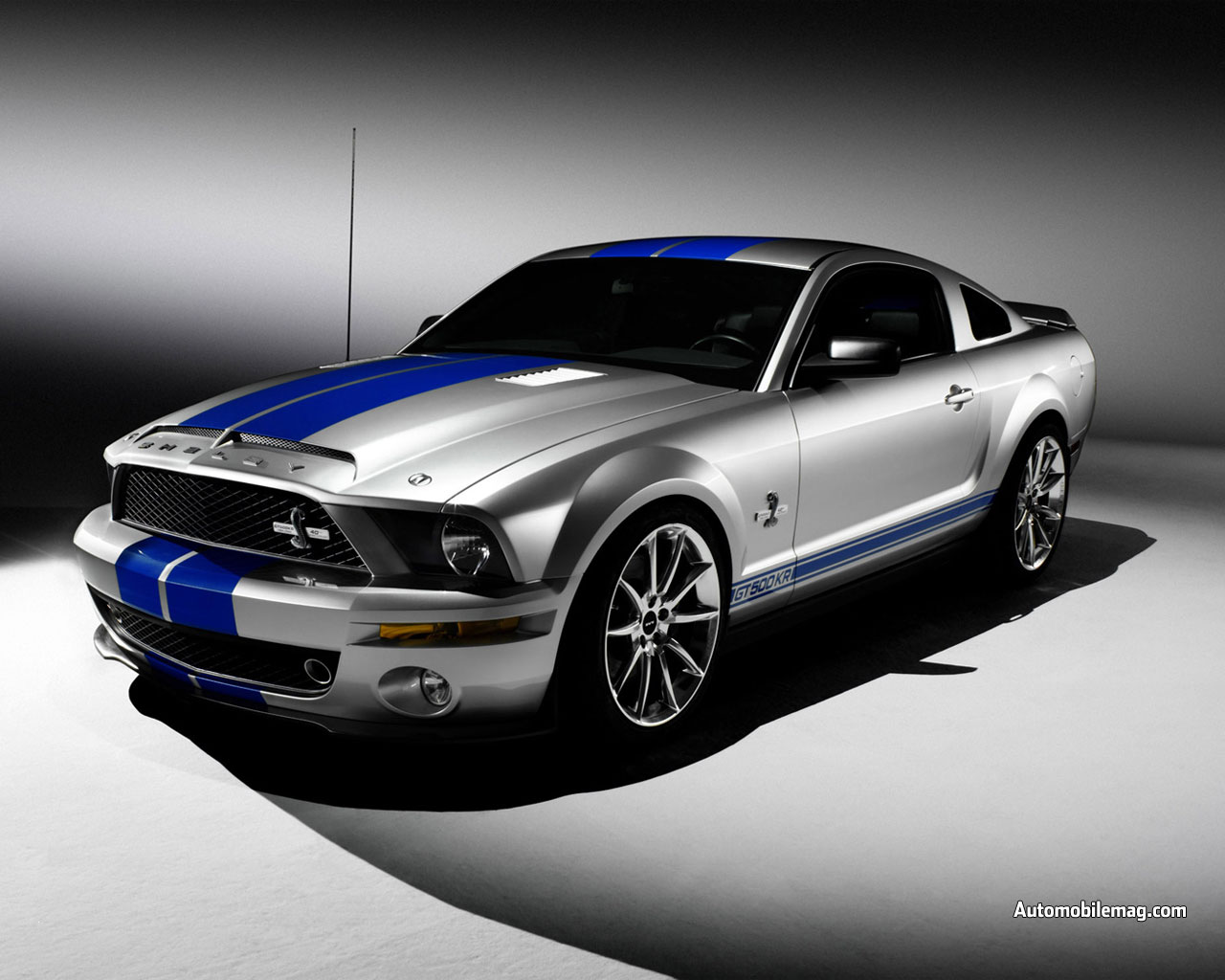 Ford Shelby: 01 фото