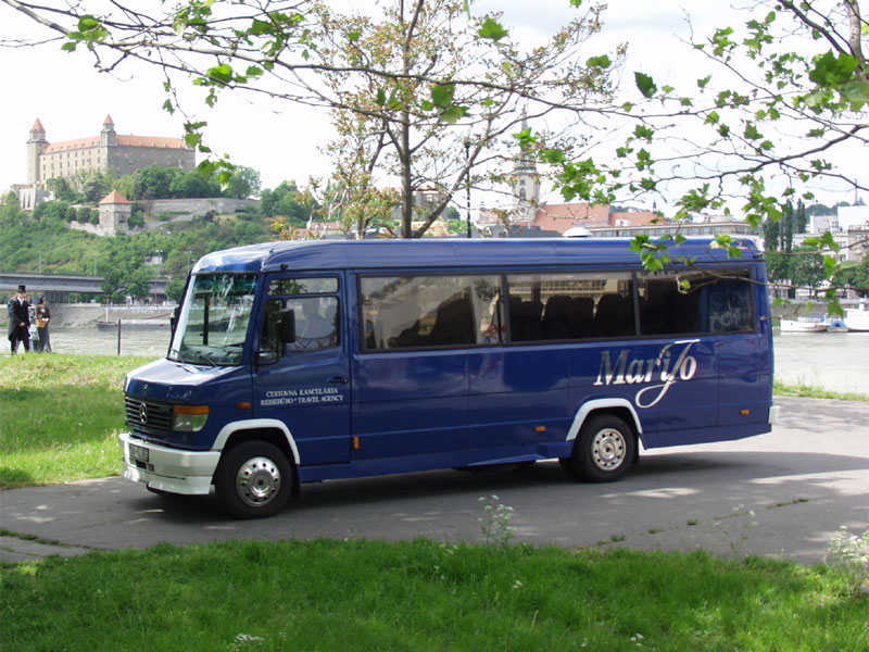 Mercedes Vario: 5 фото