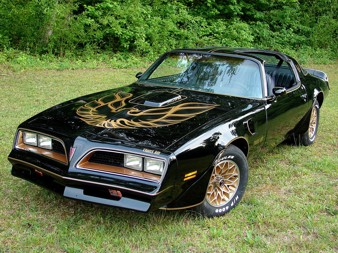 Pontiac Firebird: 11 фото