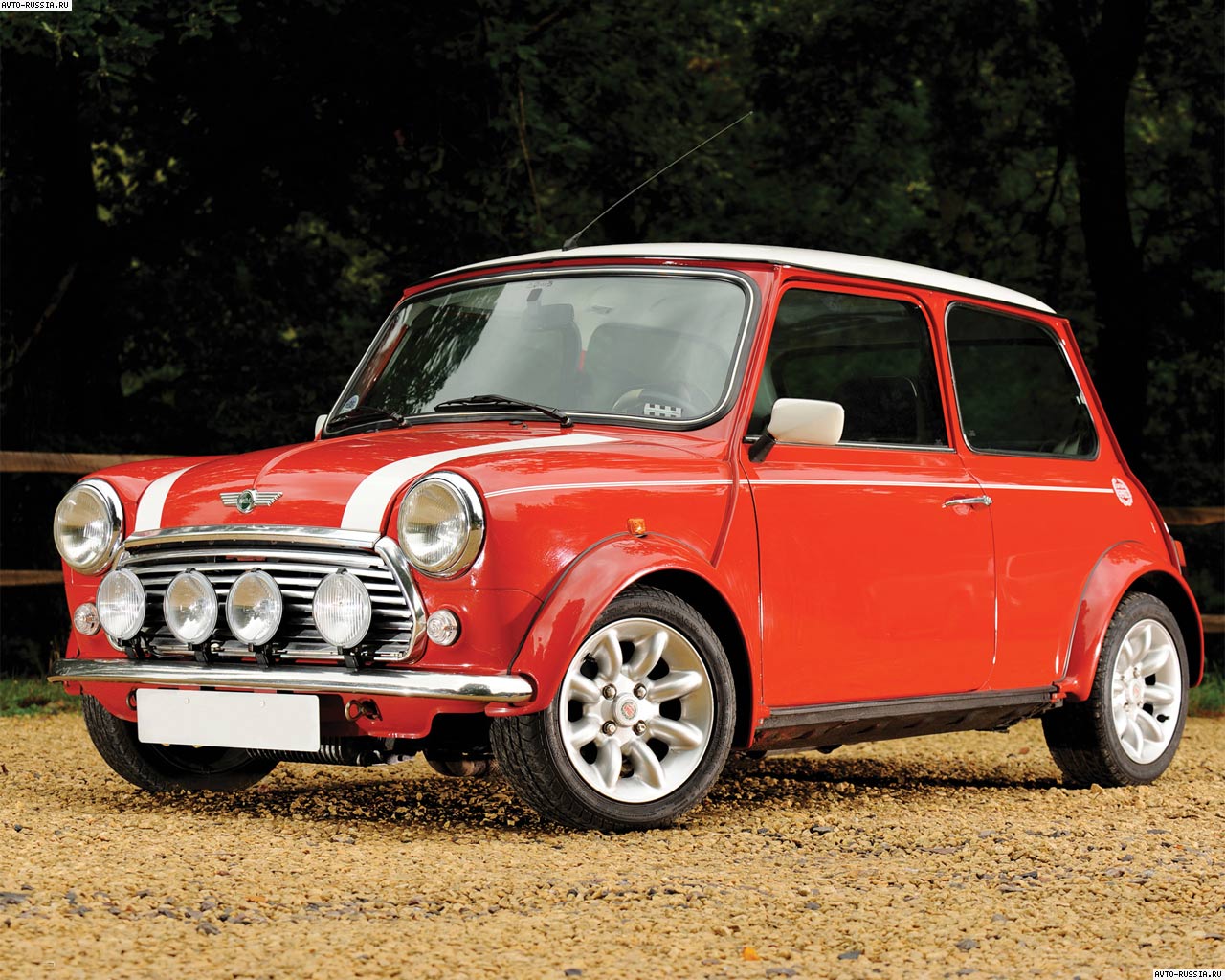 Rover Mini: 12 фото