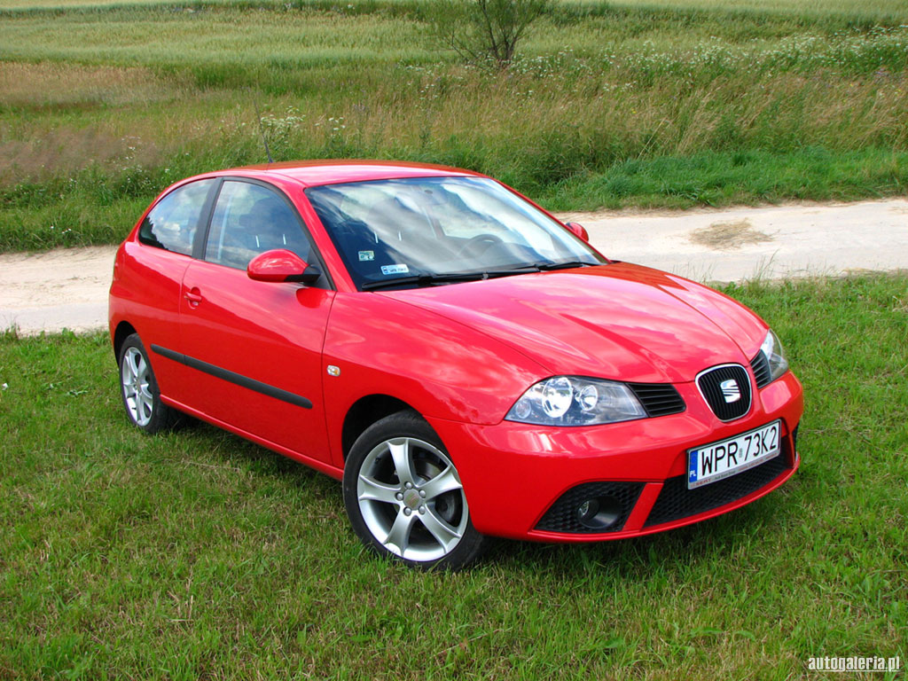 SEAT Ibiza II: 8 фото